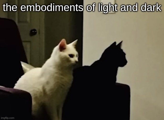 the embodiments of light and dark | made w/ Imgflip meme maker