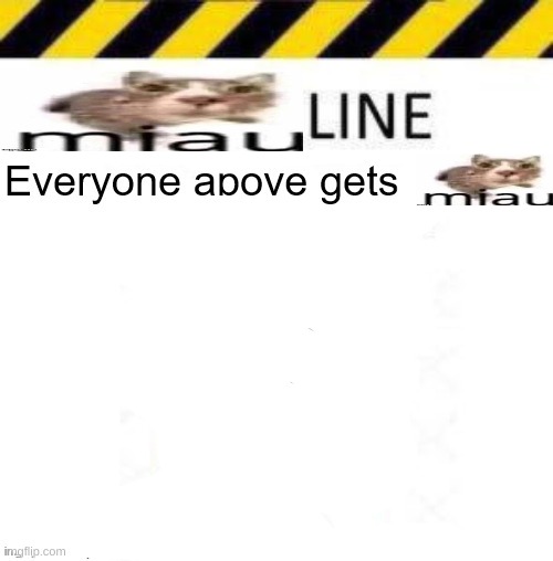 miaui | image tagged in _____ line | made w/ Imgflip meme maker