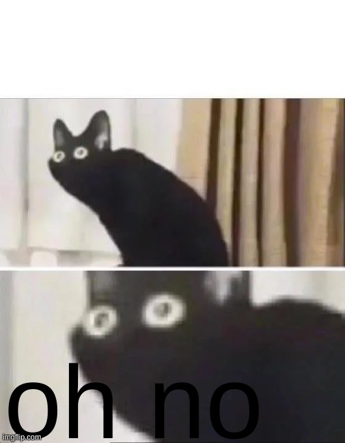Oh No Black Cat | oh no | image tagged in oh no black cat | made w/ Imgflip meme maker