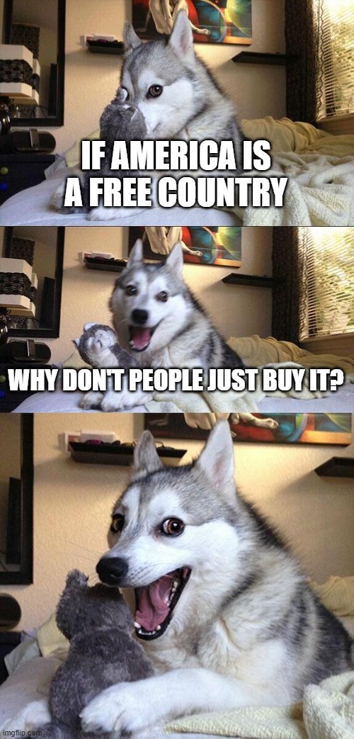 I dunno. | IF AMERICA IS A FREE COUNTRY; WHY DON'T PEOPLE JUST BUY IT? | image tagged in memes,bad pun dog | made w/ Imgflip meme maker