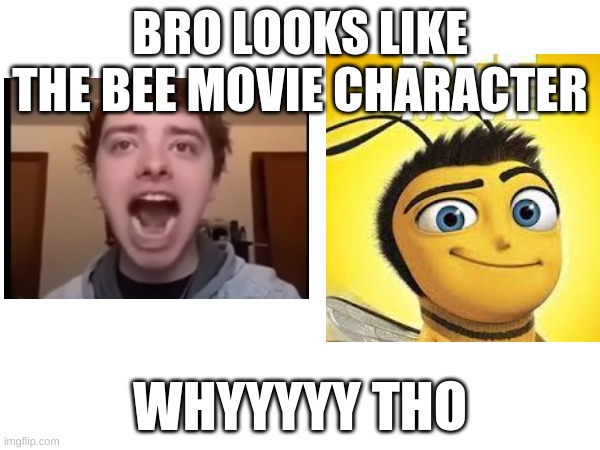 why they look the same man whyyy | BRO LOOKS LIKE THE BEE MOVIE CHARACTER; WHYYYYY THO | image tagged in bee movie,ayo | made w/ Imgflip meme maker