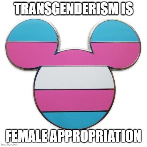 femsplain | TRANSGENDERISM IS; FEMALE APPROPRIATION | image tagged in female logic,toxic masculinity,tucker cockin | made w/ Imgflip meme maker