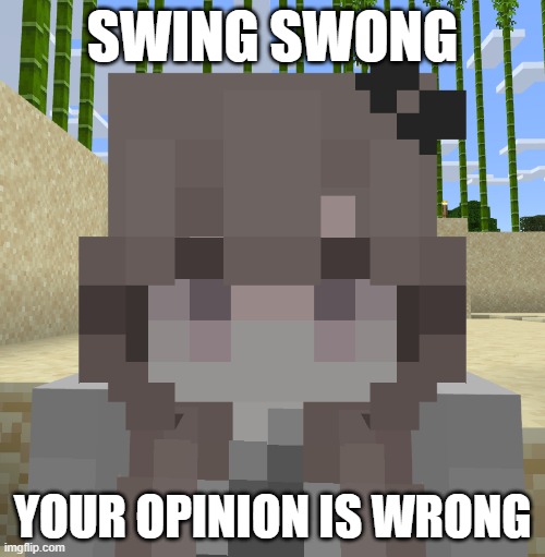 minecraft skin reveal lol | SWING SWONG; YOUR OPINION IS WRONG | image tagged in i will regret this,oh no | made w/ Imgflip meme maker