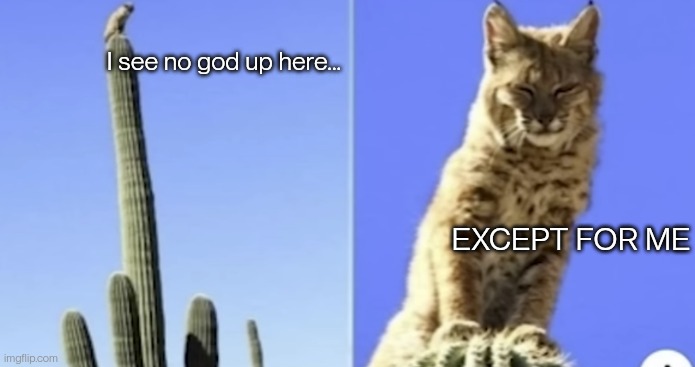 I see no god up here except for me but bobcat Blank Meme Template