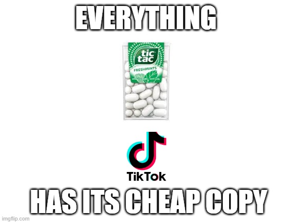tictac tiktok | EVERYTHING; HAS ITS CHEAP COPY | image tagged in tiktok,every masterpiece has its cheap copy | made w/ Imgflip meme maker