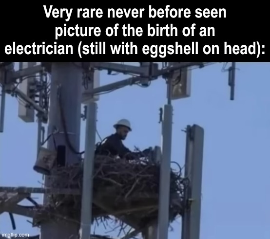 Very rare never before seen picture of the birth of an electrician (still with eggshell on head): | image tagged in funny,lol so funny,memes,fun | made w/ Imgflip meme maker