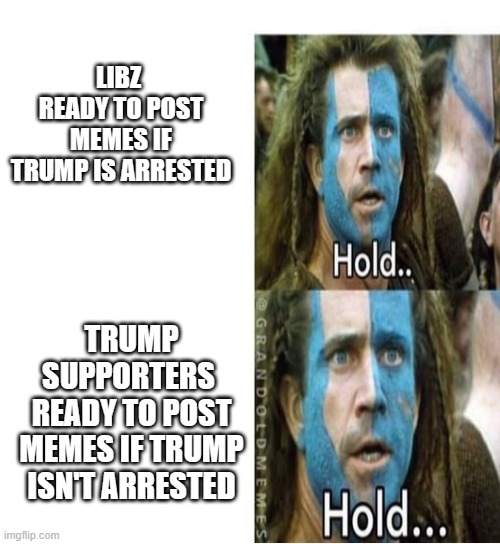 Here we go | LIBZ 
READY TO POST MEMES IF TRUMP IS ARRESTED; TRUMP SUPPORTERS 
READY TO POST MEMES IF TRUMP ISN'T ARRESTED | image tagged in hold | made w/ Imgflip meme maker