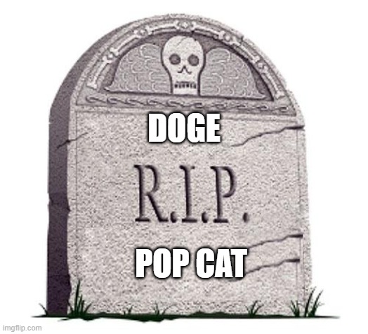 RIP | DOGE; POP CAT | image tagged in rip | made w/ Imgflip meme maker