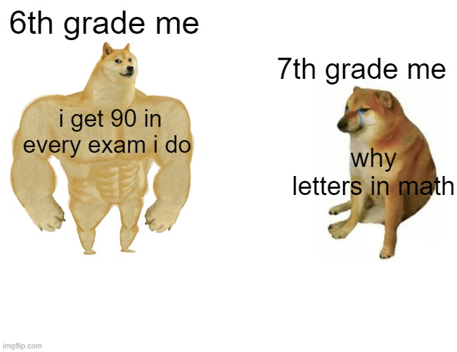 doge | 6th grade me; 7th grade me; i get 90 in every exam i do; why letters in math | image tagged in memes,buff doge vs cheems | made w/ Imgflip meme maker