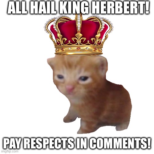 Because I felt like it. | ALL HAIL KING HERBERT! PAY RESPECTS IN COMMENTS! | image tagged in herbert | made w/ Imgflip meme maker