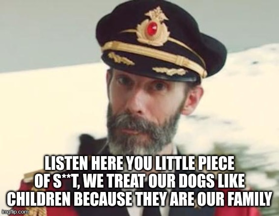Any body who doesn't agree can go f**k off | LISTEN HERE YOU LITTLE PIECE OF S**T, WE TREAT OUR DOGS LIKE CHILDREN BECAUSE THEY ARE OUR FAMILY | image tagged in captain obvious | made w/ Imgflip meme maker