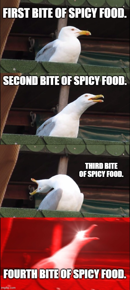 Inhaling Seagull Meme | FIRST BITE OF SPICY FOOD. SECOND BITE OF SPICY FOOD. THIRD BITE OF SPICY FOOD. FOURTH BITE OF SPICY FOOD. | image tagged in memes,inhaling seagull | made w/ Imgflip meme maker