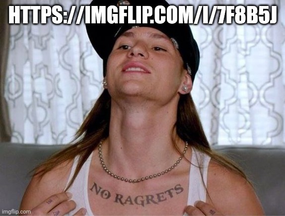 No regrets | HTTPS://IMGFLIP.COM/I/7F8B5J | image tagged in no regrets | made w/ Imgflip meme maker
