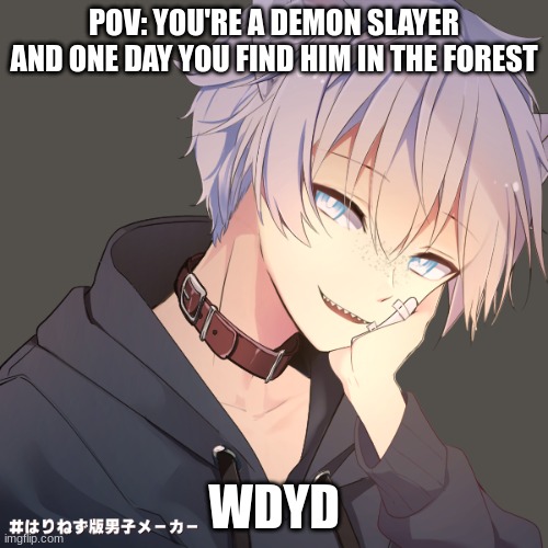 Demon Slayer RP | POV: YOU'RE A DEMON SLAYER AND ONE DAY YOU FIND HIM IN THE FOREST; WDYD | made w/ Imgflip meme maker