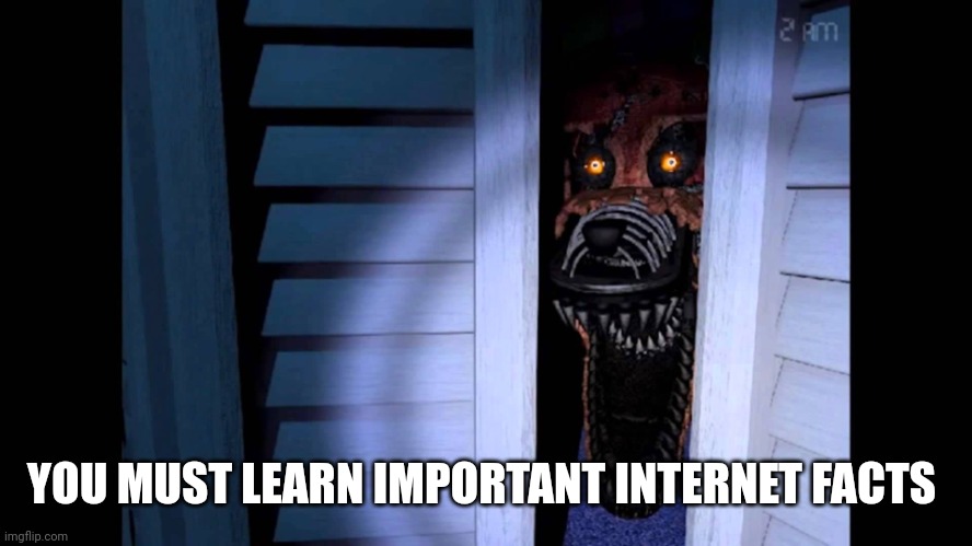 Foxy FNaF 4 | YOU MUST LEARN IMPORTANT INTERNET FACTS | image tagged in foxy fnaf 4 | made w/ Imgflip meme maker