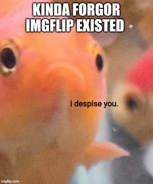 I despise you | KINDA FORGOR IMGFLIP EXISTED | image tagged in i despise you | made w/ Imgflip meme maker