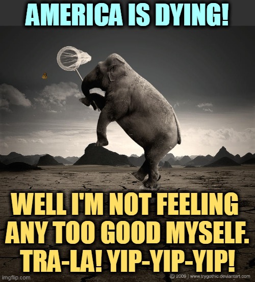 The Republican Party has gone off the deep end. | AMERICA IS DYING! WELL I'M NOT FEELING 
ANY TOO GOOD MYSELF.
TRA-LA! YIP-YIP-YIP! | image tagged in gop republican elephant crazy insane butterfly net,america,dying,republican,elephant,crazy | made w/ Imgflip meme maker