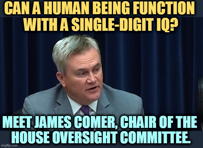 CAN A HUMAN BEING FUNCTION 
WITH A SINGLE-DIGIT IQ? MEET JAMES COMER, CHAIR OF THE 
HOUSE OVERSIGHT COMMITTEE. | image tagged in james comer,idiot,fool,jerk,incompetence,insane | made w/ Imgflip meme maker