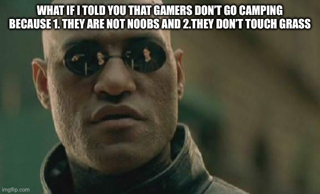 Get it? | WHAT IF I TOLD YOU THAT GAMERS DON’T GO CAMPING BECAUSE 1. THEY ARE NOT NOOBS AND 2.THEY DON’T TOUCH GRASS | image tagged in memes,matrix morpheus | made w/ Imgflip meme maker