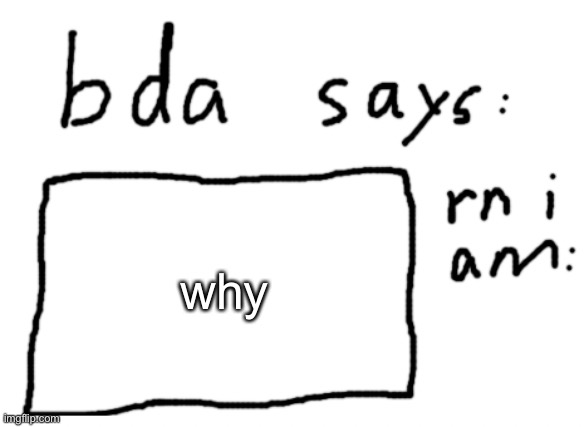 why | why | image tagged in official badlydrawnaxolotl announcement temp | made w/ Imgflip meme maker