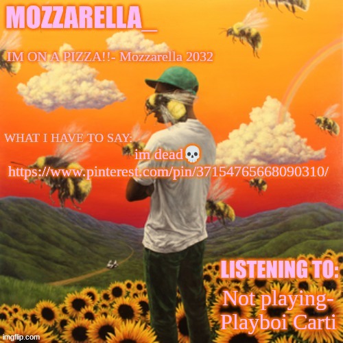 Flower Boy | im dead💀 https://www.pinterest.com/pin/37154765668090310/; Not playing- Playboi Carti | image tagged in flower boy | made w/ Imgflip meme maker