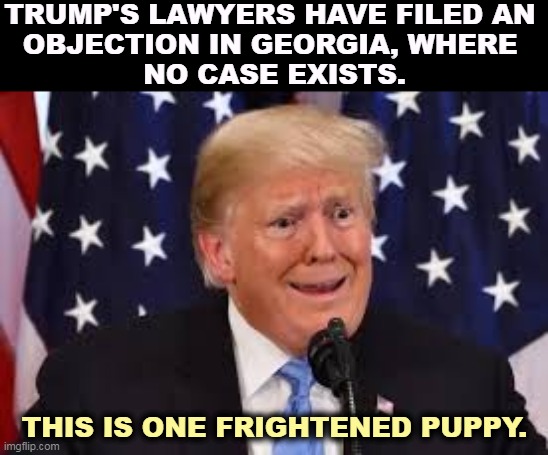 Seriously, no indictment has been handed down. They're formally objecting to something that isn't there. | TRUMP'S LAWYERS HAVE FILED AN 
OBJECTION IN GEORGIA, WHERE 
NO CASE EXISTS. THIS IS ONE FRIGHTENED PUPPY. | image tagged in trump dilated and taken aback,trump,bad,lawyers,poor,judgment | made w/ Imgflip meme maker