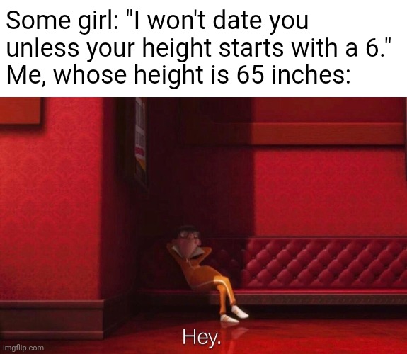 I mean it does start with a 6 | Some girl: "I won't date you unless your height starts with a 6."
Me, whose height is 65 inches: | image tagged in vector,hey,vector hey,date,6 foot,6 feet | made w/ Imgflip meme maker