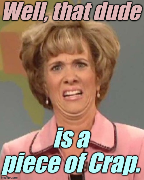 Wiig - Face of Total Disgust | Well, that dude is a piece of Crap. | image tagged in wiig - face of total disgust | made w/ Imgflip meme maker