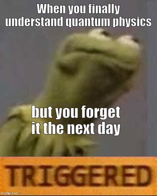 It's so hard to remember yet I can remember pretty much anything else | When you finally understand quantum physics; but you forget it the next day | image tagged in kermit triggered,bruh moment,quantum physics | made w/ Imgflip meme maker