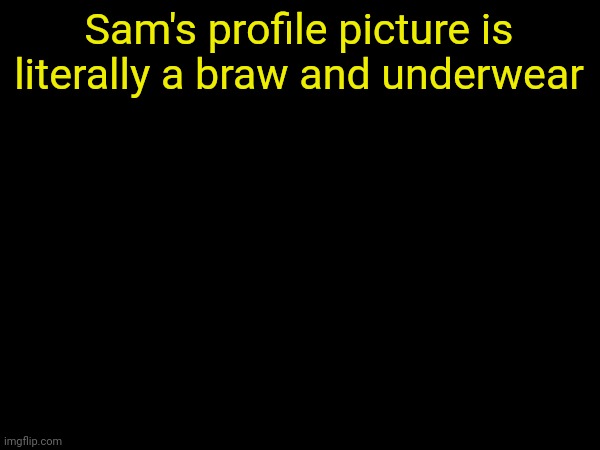 drizzy text temp | Sam's profile picture is literally a braw and underwear | image tagged in drizzy text temp | made w/ Imgflip meme maker