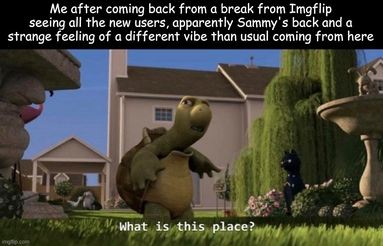 Who are you people | Me after coming back from a break from Imgflip seeing all the new users, apparently Sammy's back and a strange feeling of a different vibe than usual coming from here | image tagged in what is this place | made w/ Imgflip meme maker