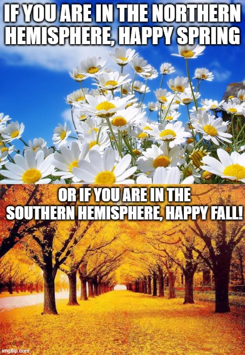 I'm in the northern hemisphere | IF YOU ARE IN THE NORTHERN HEMISPHERE, HAPPY SPRING; OR IF YOU ARE IN THE SOUTHERN HEMISPHERE, HAPPY FALL! | image tagged in spring daisy flowers,autumn trees,spring,fall | made w/ Imgflip meme maker