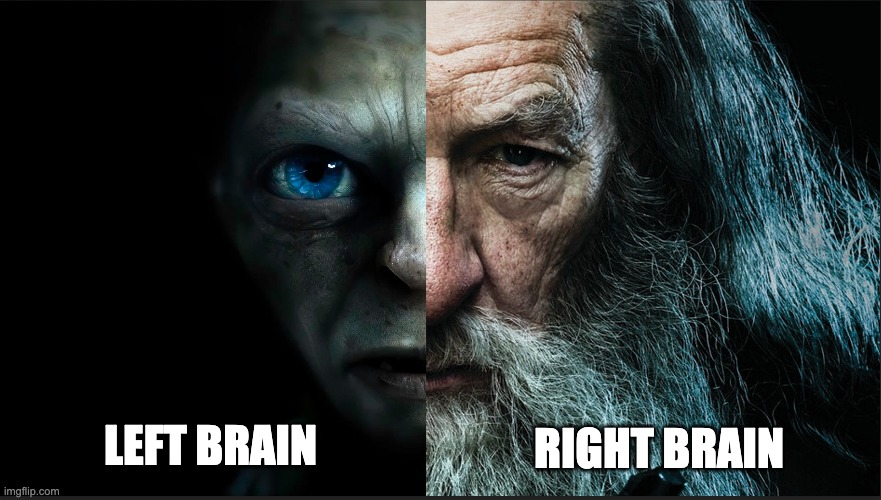 Golum & Gandalf | RIGHT BRAIN; LEFT BRAIN | image tagged in brain,consciousness,perception,yin yang,opposites,psychology | made w/ Imgflip meme maker