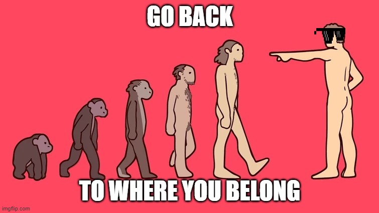 Go back i want to be monkie | GO BACK; TO WHERE YOU BELONG | image tagged in go back i want to be monkie | made w/ Imgflip meme maker