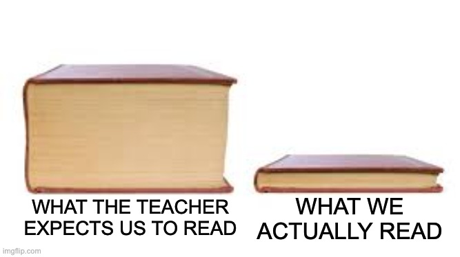 reading | WHAT WE ACTUALLY READ; WHAT THE TEACHER EXPECTS US TO READ | image tagged in big book small book | made w/ Imgflip meme maker