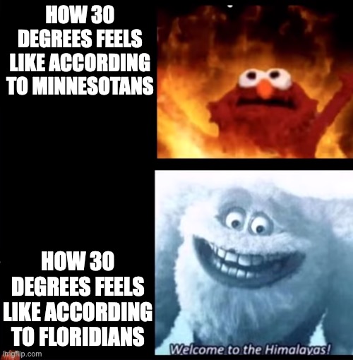 i ain't lying though... | HOW 30 DEGREES FEELS LIKE ACCORDING TO MINNESOTANS; HOW 30 DEGREES FEELS LIKE ACCORDING TO FLORIDIANS | image tagged in hot and cold,weather,cold weather,hot weather,minnesota,florida | made w/ Imgflip meme maker
