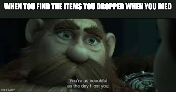 finding the items | WHEN YOU FIND THE ITEMS YOU DROPPED WHEN YOU DIED | image tagged in you're as beautiful as the day i lost you | made w/ Imgflip meme maker