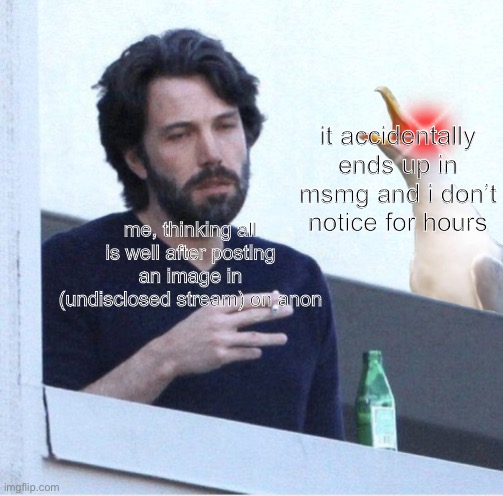 seagull screaming at guy | it accidentally ends up in msmg and i don’t notice for hours; me, thinking all is well after posting an image in (undisclosed stream) on anon | image tagged in seagull screaming at guy | made w/ Imgflip meme maker