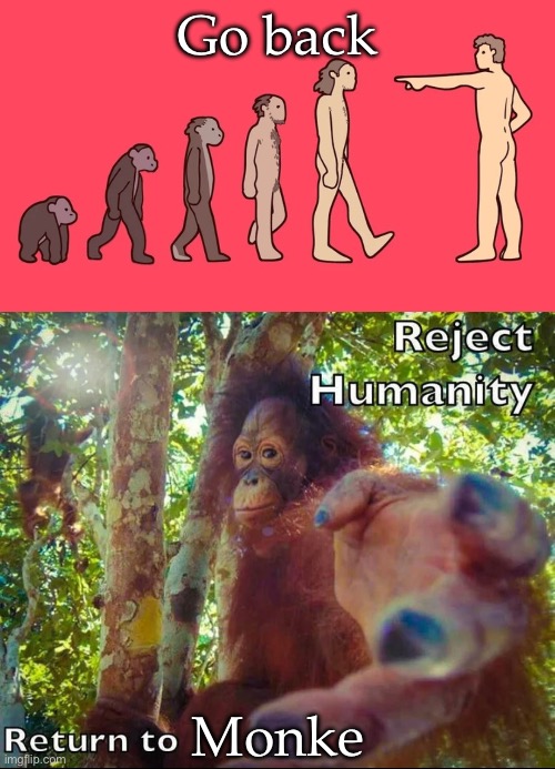 Reject humanity | Go back; Monke | image tagged in go back i want to be monkie,reject humanity return to monke,monke,humanity | made w/ Imgflip meme maker