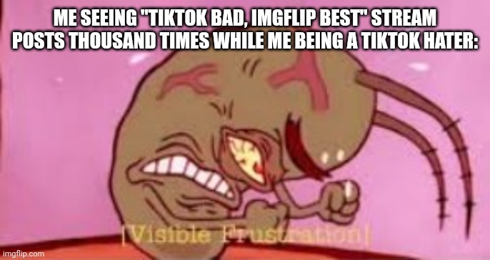 Visible Frustration | ME SEEING "TIKTOK BAD, IMGFLIP BEST" STREAM POSTS THOUSAND TIMES WHILE ME BEING A TIKTOK HATER: | image tagged in visible frustration | made w/ Imgflip meme maker