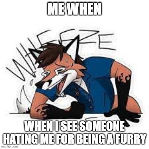 Furry Wheeze | ME WHEN; WHEN I SEE SOMEONE HATING ME FOR BEING A FURRY | image tagged in furry wheeze,laughing,furry,anti furry | made w/ Imgflip meme maker