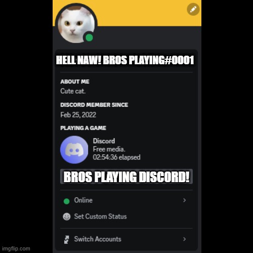 Oh hell nah! This a true gamer! | HELL NAW! BROS PLAYING#0001; BROS PLAYING DISCORD! | image tagged in discord | made w/ Imgflip meme maker