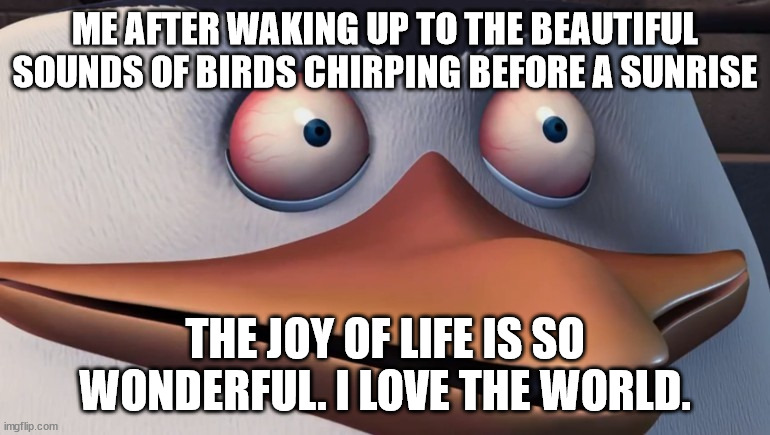 Penguins of madagascar skipper red eyes | ME AFTER WAKING UP TO THE BEAUTIFUL SOUNDS OF BIRDS CHIRPING BEFORE A SUNRISE; THE JOY OF LIFE IS SO WONDERFUL. I LOVE THE WORLD. | image tagged in penguins of madagascar skipper red eyes | made w/ Imgflip meme maker