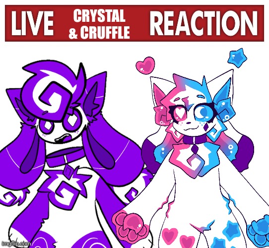 Another one | CRYSTAL & CRUFFLE | image tagged in live x reaction,blank white template,kittydog | made w/ Imgflip meme maker