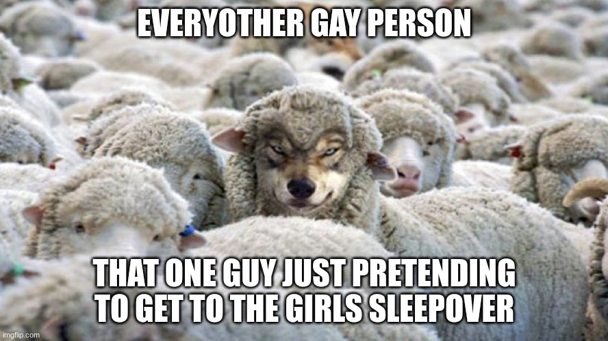 spy getting in hot | EVERYOTHER GAY PERSON; THAT ONE GUY JUST PRETENDING TO GET TO THE GIRLS SLEEPOVER | image tagged in wolf in sheep s clothing,gay,sleep,sleepover,girls,wolf | made w/ Imgflip meme maker