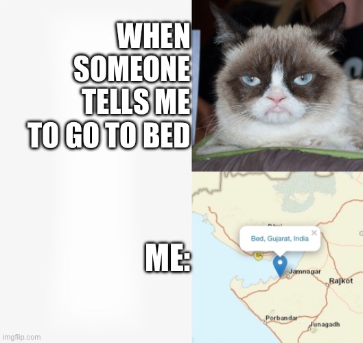 When someone asked me to go to bed | WHEN SOMEONE TELLS ME TO GO TO BED; ME: | image tagged in bed,india | made w/ Imgflip meme maker