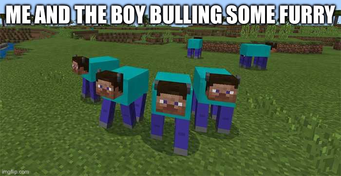 Me and the boys | ME AND THE BOY BULLING SOME FURRY | image tagged in me and the boys,memes | made w/ Imgflip meme maker