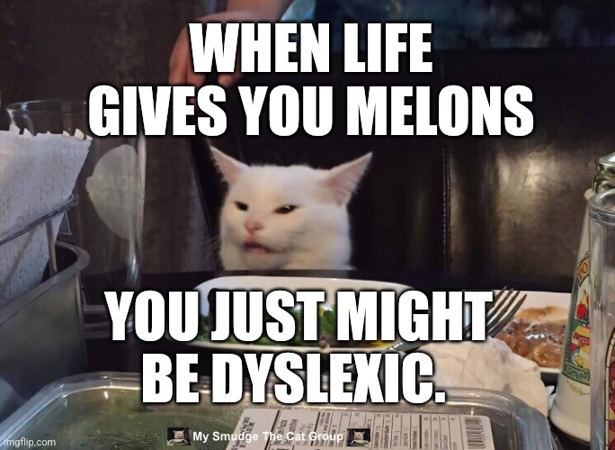 WHEN LIFE GIVES YOU MELONS; YOU JUST MIGHT BE DYSLEXIC. | image tagged in smudge the cat | made w/ Imgflip meme maker
