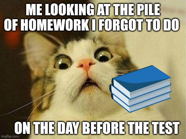 Scared Cat | ME LOOKING AT THE PILE OF HOMEWORK I FORGOT TO DO; ON THE DAY BEFORE THE TEST | image tagged in memes,scared cat | made w/ Imgflip meme maker