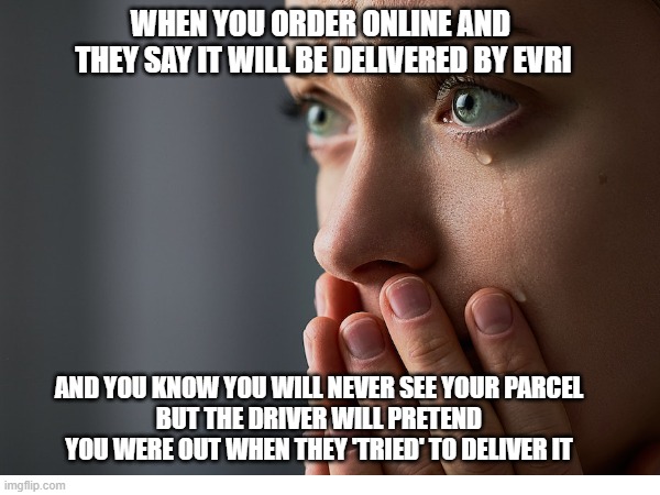 Evri | WHEN YOU ORDER ONLINE AND 
THEY SAY IT WILL BE DELIVERED BY EVRI; AND YOU KNOW YOU WILL NEVER SEE YOUR PARCEL
BUT THE DRIVER WILL PRETEND YOU WERE OUT WHEN THEY 'TRIED' TO DELIVER IT | image tagged in evri,parcel | made w/ Imgflip meme maker